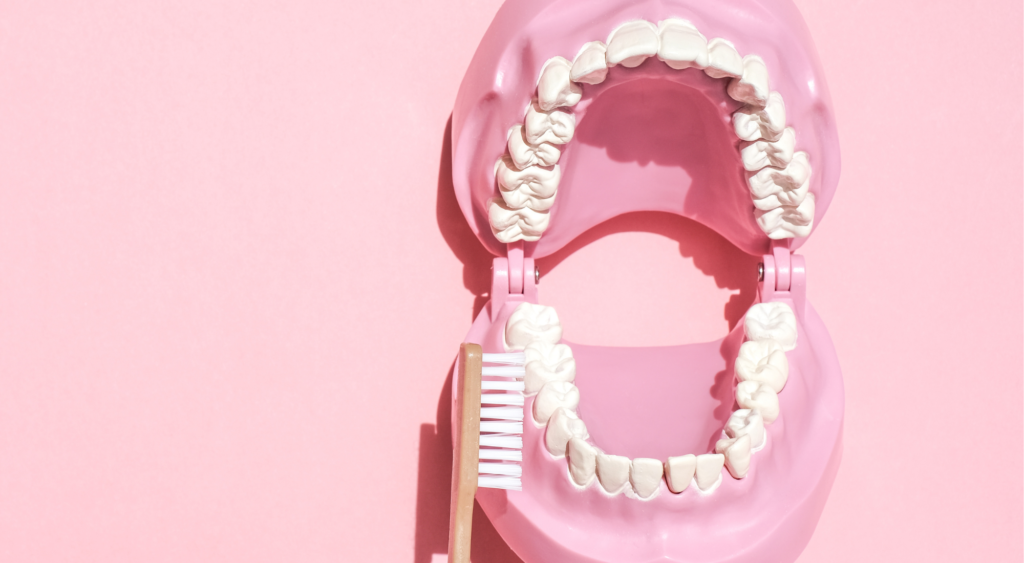 Quelle brosse à dents choisir ?